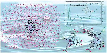 Graphical abstract: Direct observation of the solvent organization and nuclear vibrations of [Ru(dcbpy)2(NCS)2]4−, [dcbpy = (4,4′-dicarboxy-2,2′-bipyridine)], via ab initio molecular dynamics