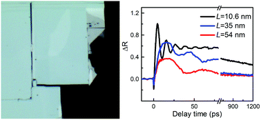 Graphical abstract: Thickness-dependent ultrafast charge-carrier dynamics and coherent acoustic phonon oscillations in mechanically exfoliated PdSe2 flakes