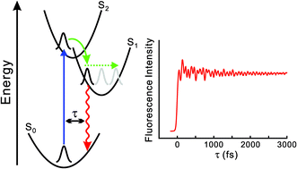 Graphical abstract: Coherent internal conversion from high lying electronic states to S1 in boron-dipyrromethene derivatives