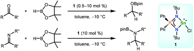 Graphical abstract: Hydroboration of carbonyls and imines by an iminophosphonamido tin(ii) precatalyst