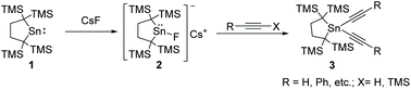 Graphical abstract: Diverse reactions of a fluorostannylenoid towards ethynes