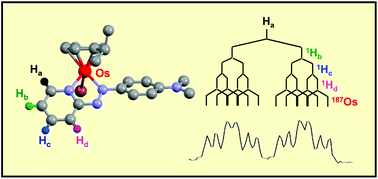 Graphical abstract: NMR studies of group 8 metallodrugs: 187Os-enriched organo-osmium half-sandwich anticancer complex