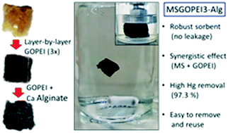 Graphical abstract: Effective and simple removal of Hg from real waters by a robust bio-nanocomposite