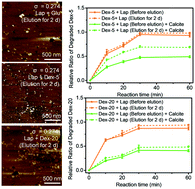 Graphical abstract: In situ observations of the occlusion of a clay-sugar compound within calcite