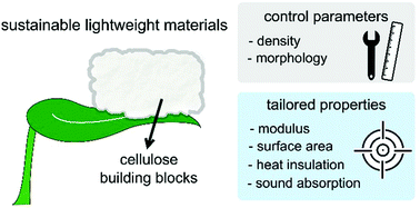 Graphical abstract: Fundamentals of cellulose lightweight materials: bio-based assemblies with tailored properties
