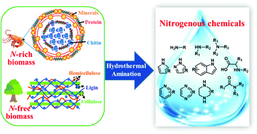 Graphical abstract: Hydrothermal amination of biomass to nitrogenous chemicals