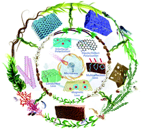 Graphical abstract: 3D porous biomass-derived carbon materials: biomass sources, controllable transformation and microwave absorption application