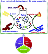Graphical abstract: Nontoxic photoluminescent tin oxide nanoparticles for cell imaging: deep eutectic solvent mediated synthesis, tuning and mechanism