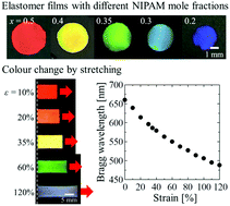 Graphical abstract: Elastomer-immobilized tunable colloidal photonic crystal films with high optical qualities and high maximum strain