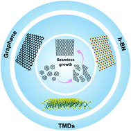 Graphical abstract: Continuous orientated growth of scaled single-crystal 2D monolayer films