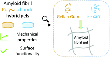 Graphical abstract: Polysaccharide-reinforced amyloid fibril hydrogels and aerogels