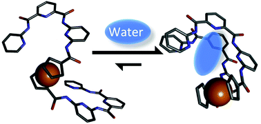Graphical abstract: Water binding stabilizes stacked conformations of ferrocene containing sheet-like aromatic oligoamides