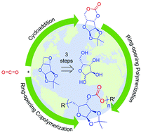 Graphical abstract: Sustainable synthesis of CO2-derived polycarbonates from d-xylose