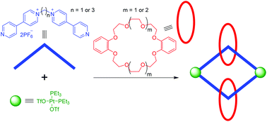 Graphical abstract: Efficient one-pot synthesis of [3]catenanes based on Pt(ii) metallacycles with a flexible building block