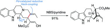 Graphical abstract: Palladium catalyzed reductive Heck coupling and its application in total synthesis of (−)-17-nor-excelsinidine