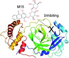 Graphical abstract: Potential inhibitors for SARS-CoV-2 Mpro from marine compounds