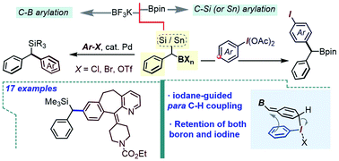 Graphical abstract: Exploring benzylic gem-C(sp3)–boron–silicon and boron–tin centers as a synthetic platform