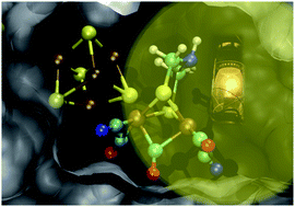 Graphical abstract: Photochemistry and photoinhibition of the H-cluster of FeFe hydrogenases