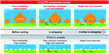 Graphical abstract: A low resistance and stable lithium-garnet electrolyte interface enabled by a multifunctional anode additive for solid-state lithium batteries