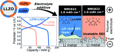 Graphical abstract: Enhancing the polymer electrolyte–Li metal interface on high-voltage solid-state batteries with Li-based additives inspired by the surface chemistry of Li7La3Zr2O12