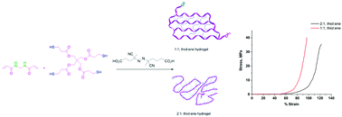Graphical abstract: Getting control of hydrogel networks with cross-linkable monomers