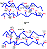 Graphical abstract: Synthesis, classification and properties of hydrogels: their applications in drug delivery and agriculture