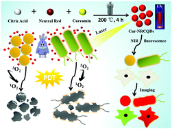 Graphical abstract: Orange-red to NIR emissive carbon dots for antimicrobial, bioimaging and bacteria diagnosis