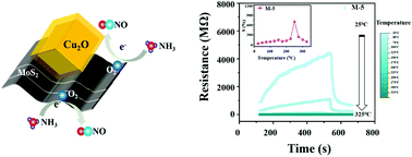 Graphical abstract: Low-operating temperature ammonia sensor based on Cu2O nanoparticles decorated with p-type MoS2 nanosheets