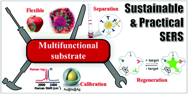 Graphical abstract: Towards practical and sustainable SERS: a review of recent developments in the construction of multifunctional enhancing substrates
