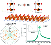 Graphical abstract: A two-dimensional ferroelectric ferromagnetic half semiconductor in a VOF monolayer