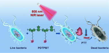 Graphical abstract: A cationic conjugated polymer with high 808 nm NIR-triggered photothermal conversion for antibacterial treatment