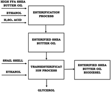 Graphical abstract: Modeling and optimization of two-step shea butter oil biodiesel synthesis using snail shells as heterogeneous base catalysts
