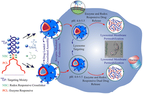 Graphical abstract: Dual stimuli-responsive cross-linked nanoassemblies from an amphiphilic mannose-6-phosphate based tri-block copolymer for lysosomal membrane permeabilization