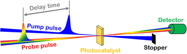 Graphical abstract: Femtosecond transient absorption spectroscopy investigation into the electron transfer mechanism in photocatalysis