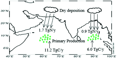 Graphical abstract: Impact of atmospheric anthropogenic nitrogen on new production in the northern Indian Ocean: constrained based on satellite aerosol optical depth and particulate nitrogen levels