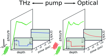 Graphical abstract: Impact of the terahertz and optical pump penetration depths on generated strain waves temporal profiles in a V2O3 thin film
