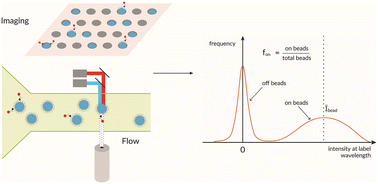 Graphical abstract: Digital detection of proteins