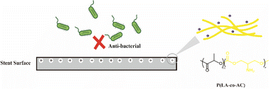 Graphical abstract: A novel biodegradable ureteral stent with antibacterial ability to inhibit biofilm formation