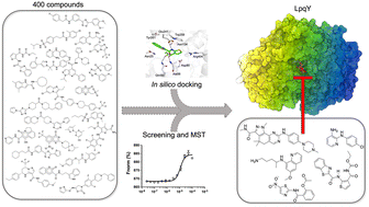 Graphical abstract: Interrogation of the Pathogen Box reveals small molecule ligands against the mycobacterial trehalose transporter LpqY-SugABC