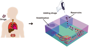 Graphical abstract: 3D-printed, configurable, paper-based, and autonomous multi-organ-on-paper platforms