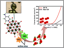 Graphical abstract: A rare polyoxometalate cluster [NiW12O44]14− based solid as a pre-catalyst for efficient and long-term oxygen evolution