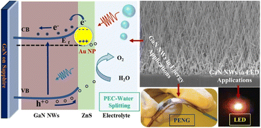 Graphical abstract: Epitaxial growth of 1D GaN-based heterostructures on various substrates for photonic and energy applications