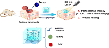 Graphical abstract: Palladium nanoparticle based smart hydrogels for NIR light-triggered photothermal/photodynamic therapy and drug release with wound healing capability