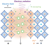 Graphical abstract: Unveiling the degraded electron durability in reduced-dimensional perovskites