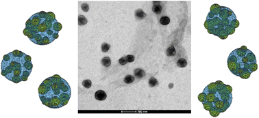 Graphical abstract: Designed incorporation of semi-crystalline domains into structured latex particles via solvent-aided emulsion polymerization