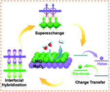 Graphical abstract: Crystal–amorphous NiO/MoO2 with a high-density interface for hydrogen evolution