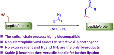 Graphical abstract: α-Vinyl azide–cysteine click coupling reaction enabled bioorthogonal peptide/protein modification