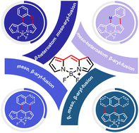 Graphical abstract: Recent advances in zig-zag-fused BODIPYs