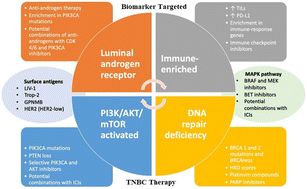 Graphical abstract: Advances with metal oxide-based nanoparticles as MDR metastatic breast cancer therapeutics and diagnostics