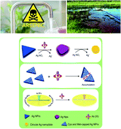 Graphical abstract: Colorimetric and naked-eye detection of arsenic(iii) using a paper-based microfluidic device decorated with silver nanoparticles